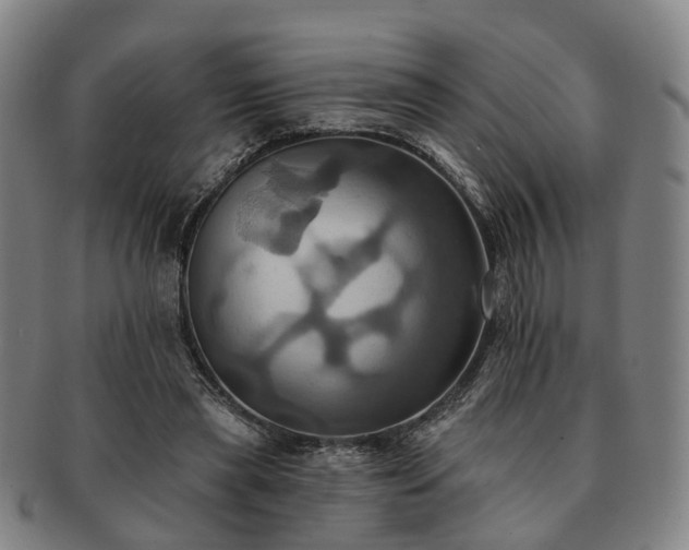 X0000091580445200708271224