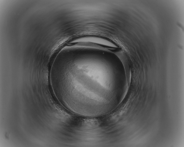 X0000091580446200708271224