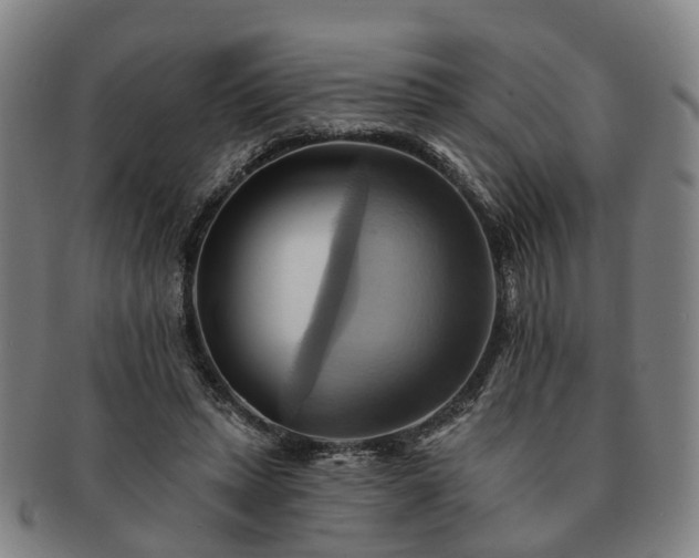 X0000091580447200708271224