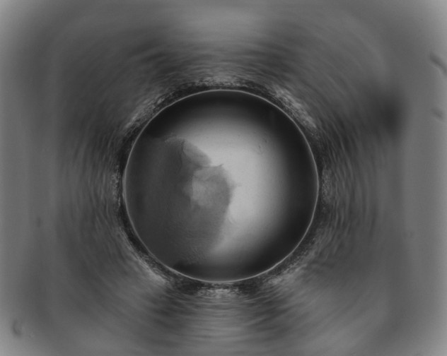 X0000091580449200708271224