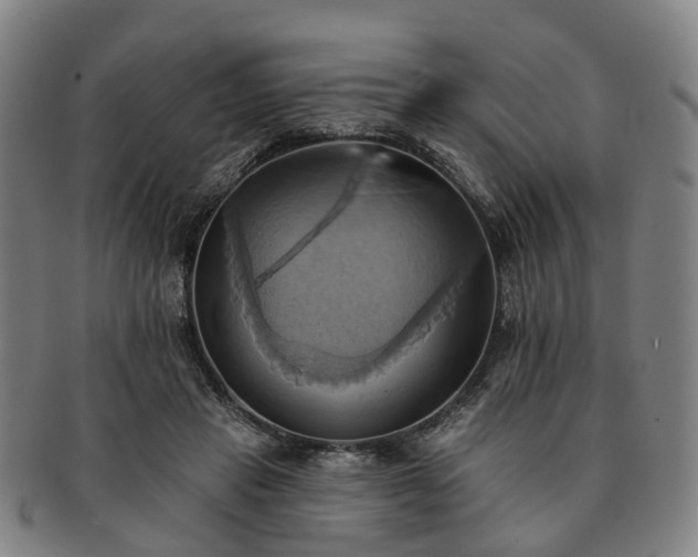 X0000091580453200708271224