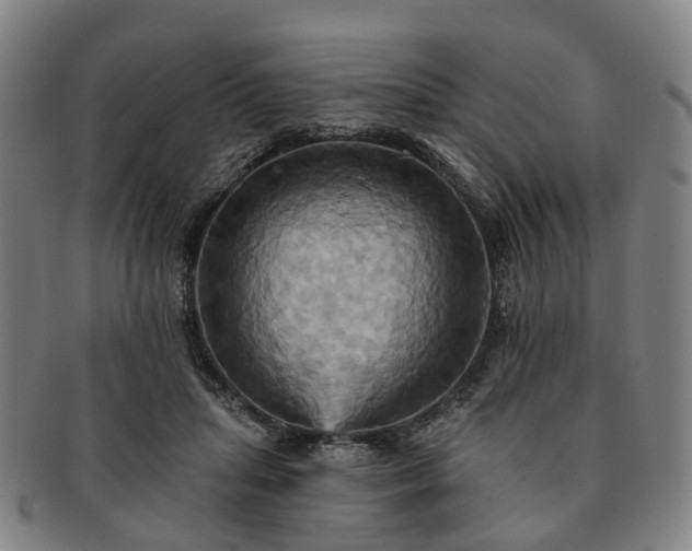 X0000091580455200708271224