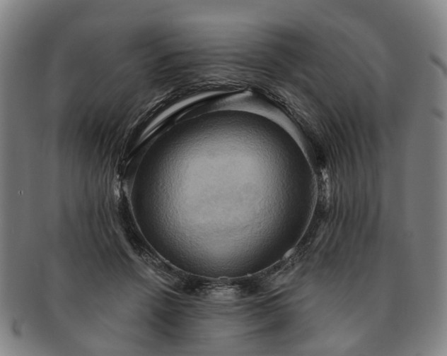 X0000091580456200708271224