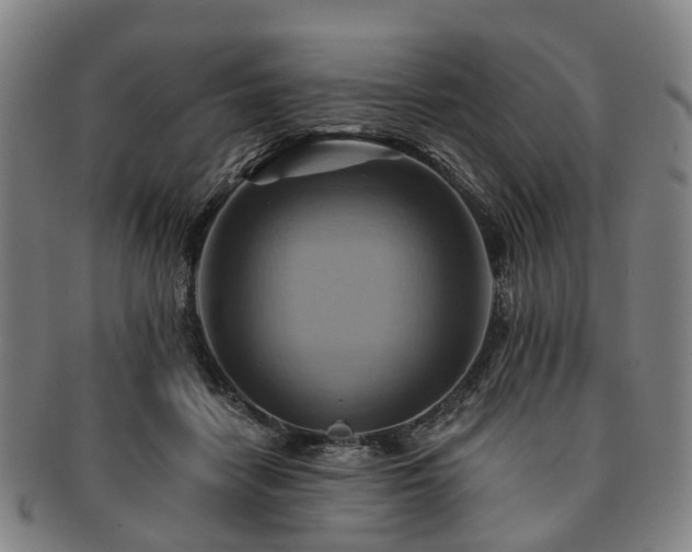X0000091580458200708271224