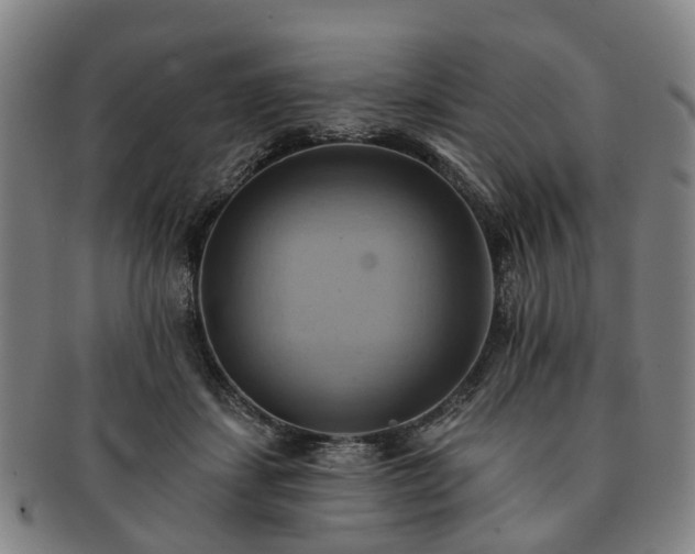 X0000091580459200708271224