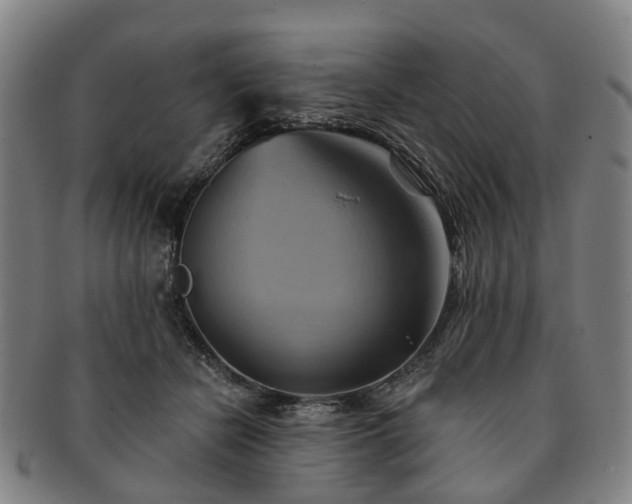 X0000091580462200708271224