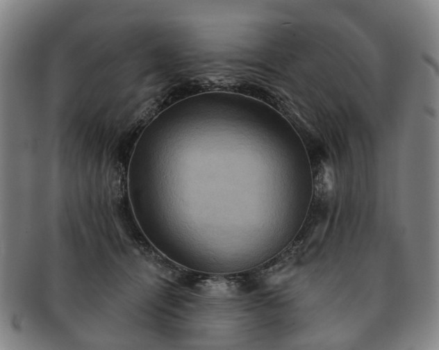 X0000091580464200708271224