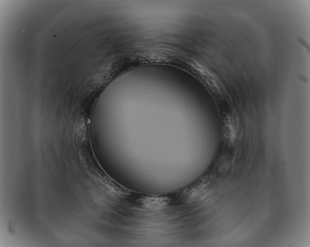 X0000091580465200708271224