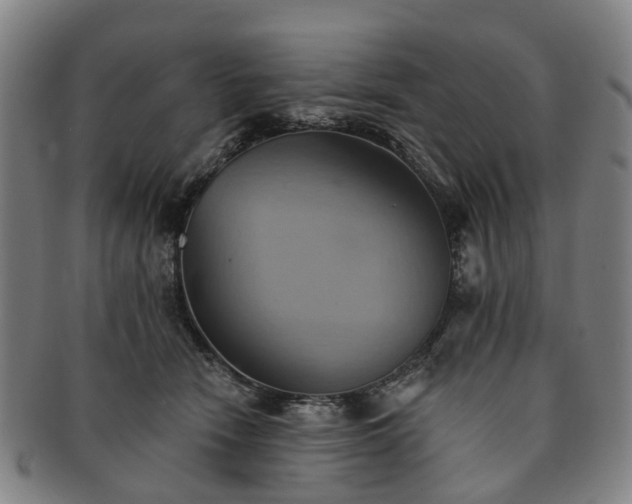 X0000091580466200708271224
