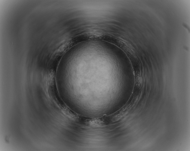 X0000091580468200708271224