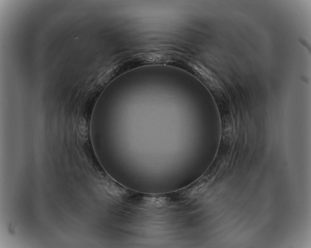 X0000091580469200708271224