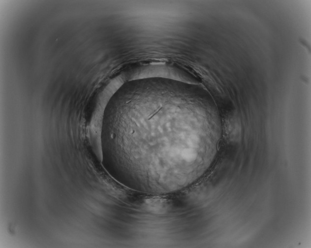 X0000091580470200708271224