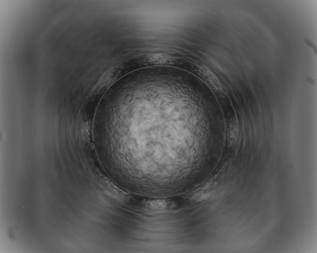 X0000091580473200708271224