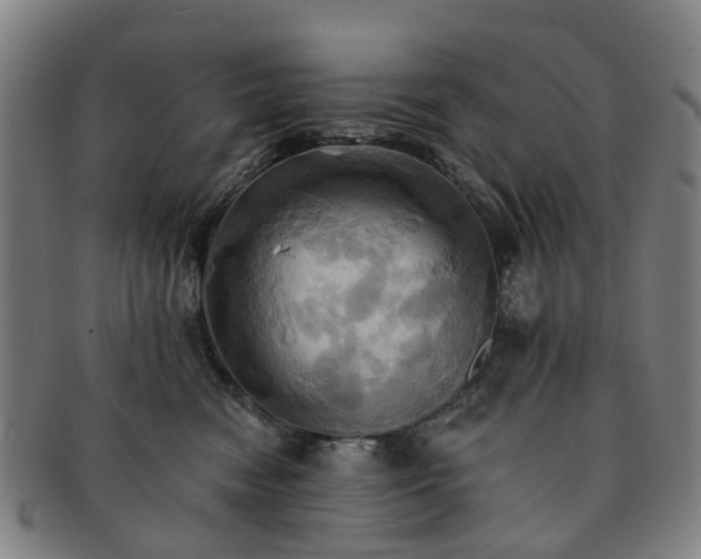 X0000091580474200708271224