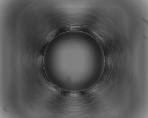 X0000091580475200708271224