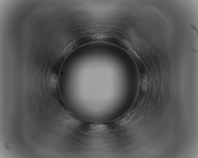 X0000091580476200708271224