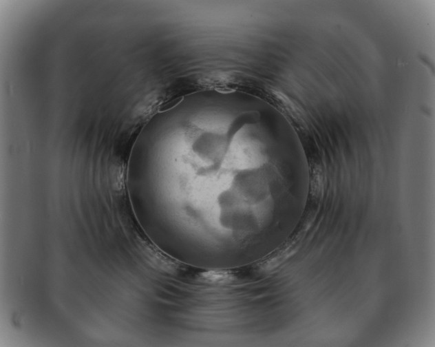 X0000091580477200708271224