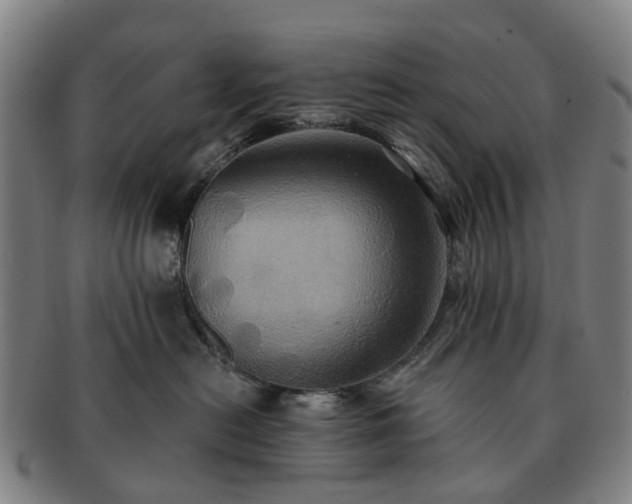 X0000091580478200708271224