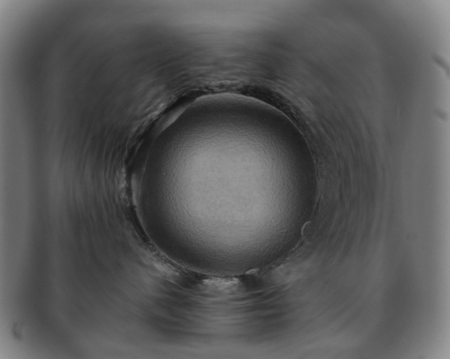 X0000091580480200708271224