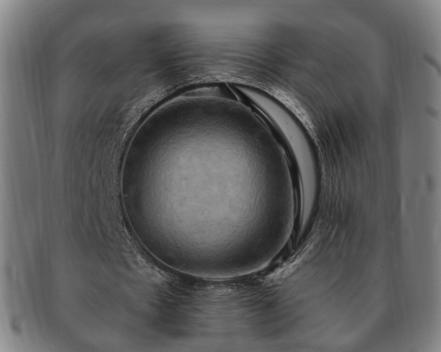 X0000091580481200708271223