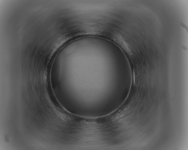 X0000091580483200708271223