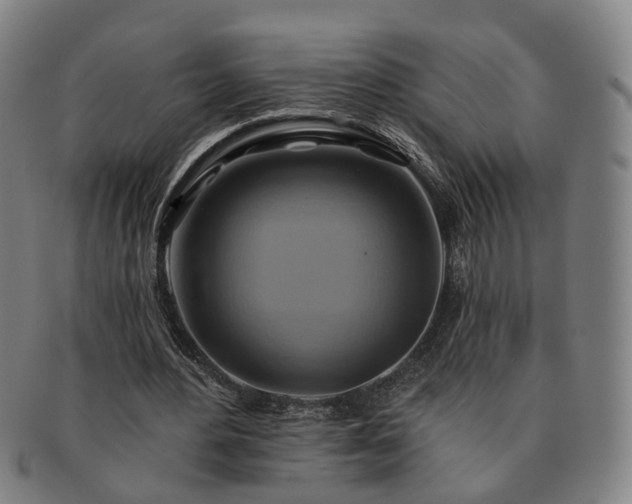 X0000091580484200708271223