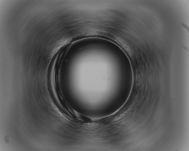 X0000091580485200708271223