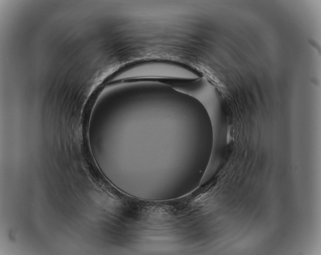 X0000091580488200708271223