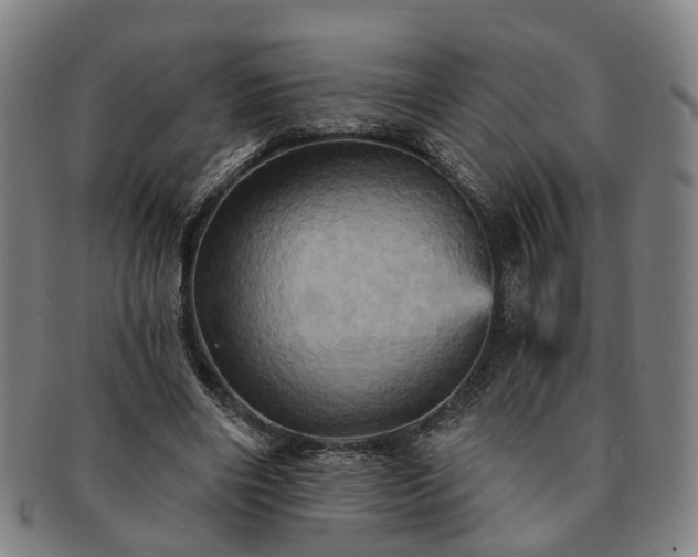 X0000091580490200708271223
