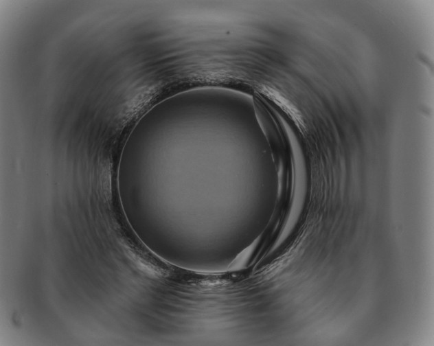 X0000091580493200708271223