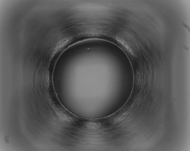 X0000091580494200708271223