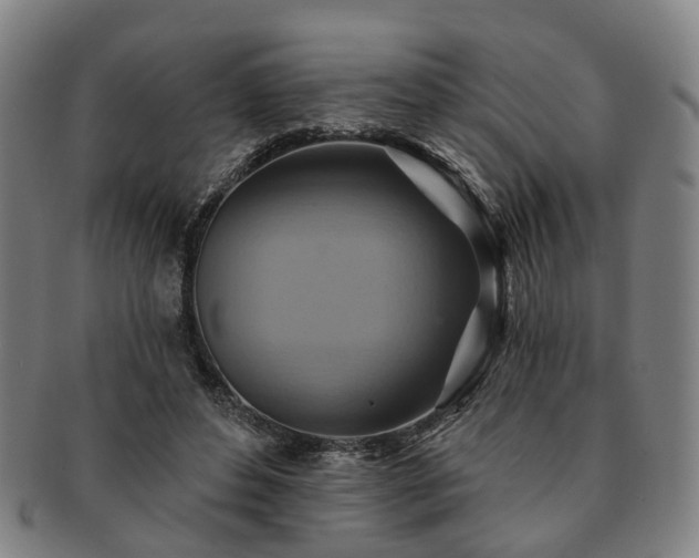 X0000091580496200708271223