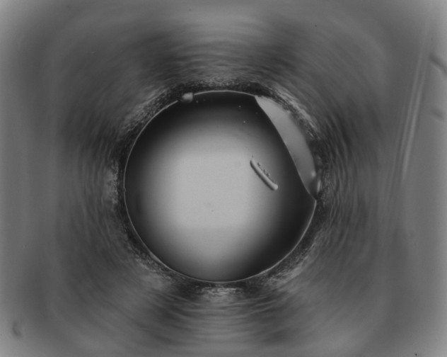 X0000091580497200708271223