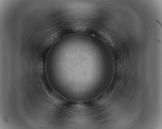 X0000091580498200708271223