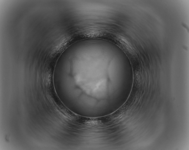 X0000091580499200708271223
