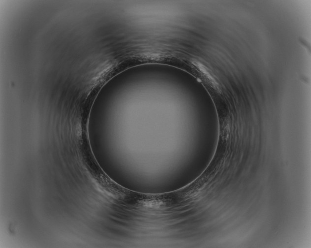 X0000091580500200708271223
