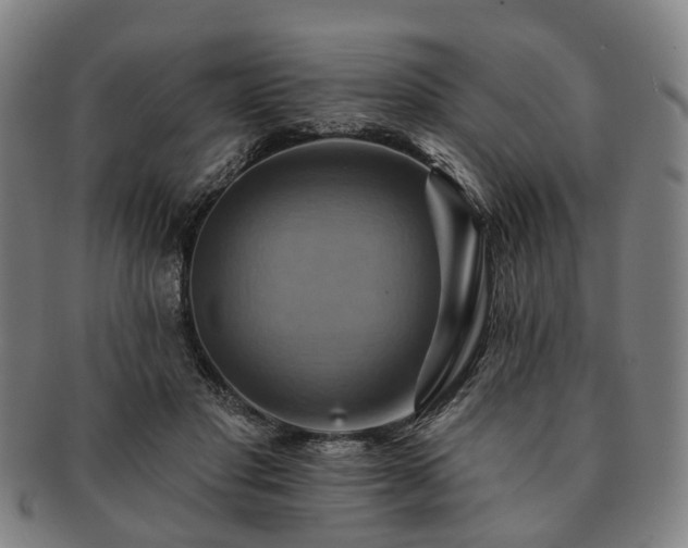X0000091580501200708271223