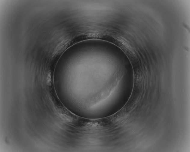 X0000091580502200708271223