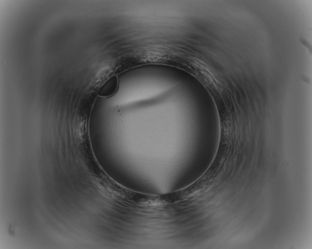 X0000091580503200708271223
