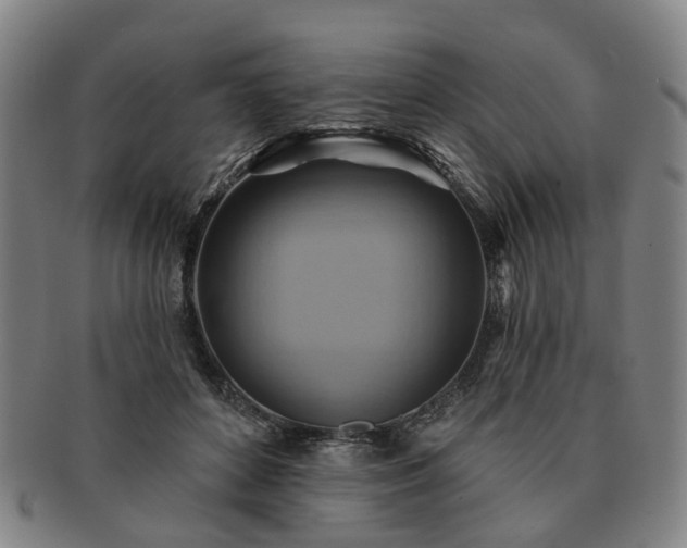 X0000091580504200708271223