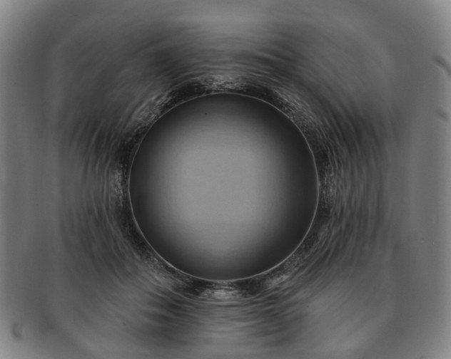 X0000091580506200708271223