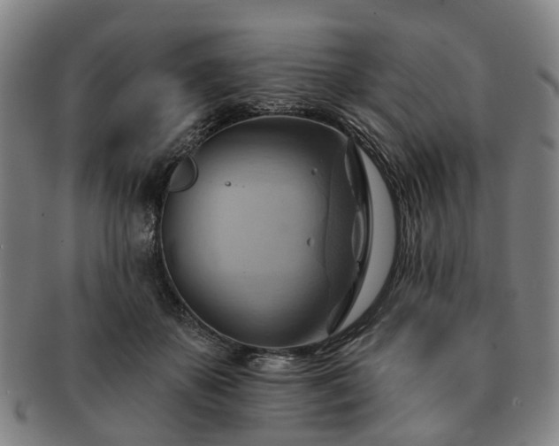 X0000091580507200708271223