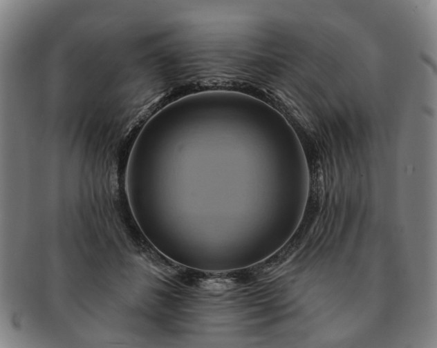 X0000091580508200708271223