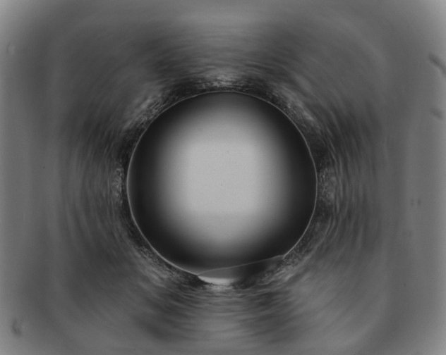 X0000091580509200708271223