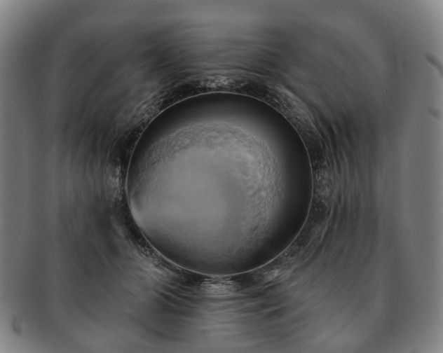 X0000091580510200708271223