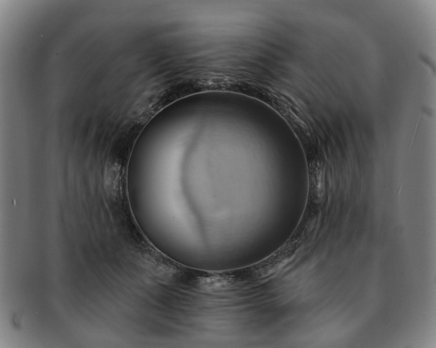 X0000091580511200708271223