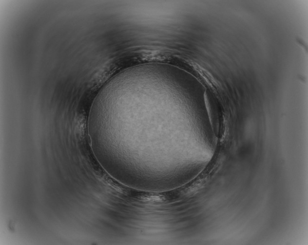 X0000091580513200708271223