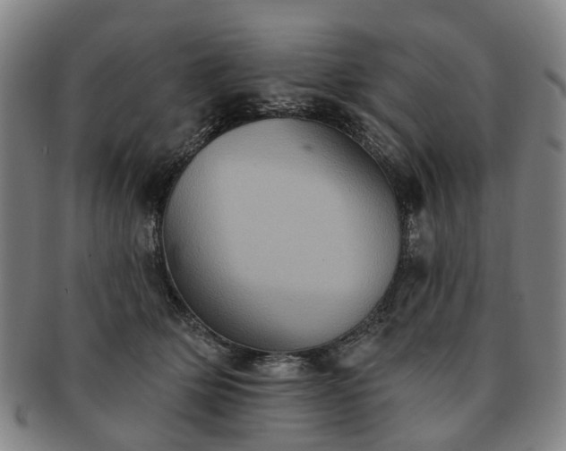 X0000091580514200708271223