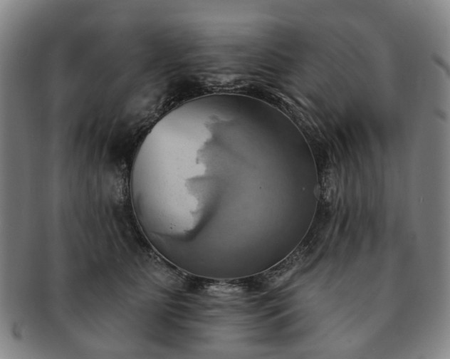 X0000091580515200708271223