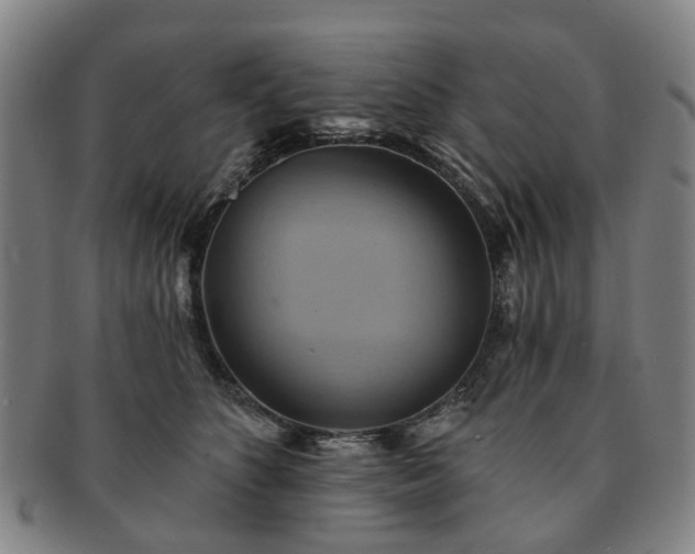 X0000091580516200708271223